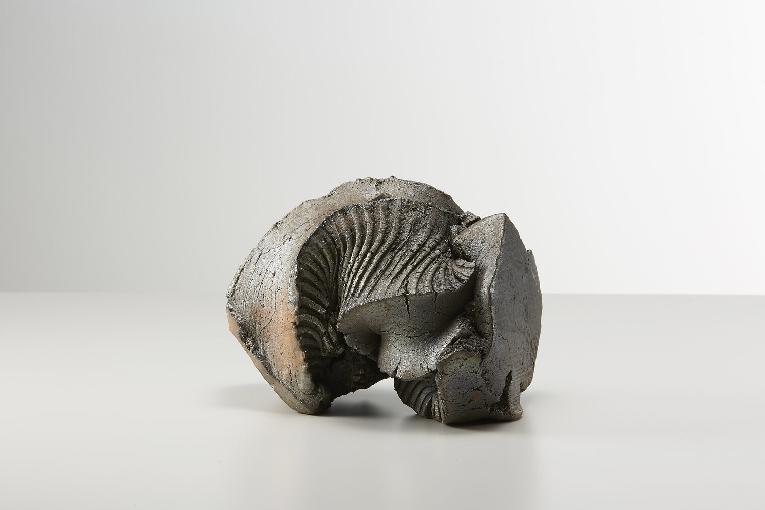 Meister der Moderne 2018, Shozo Michikawa
