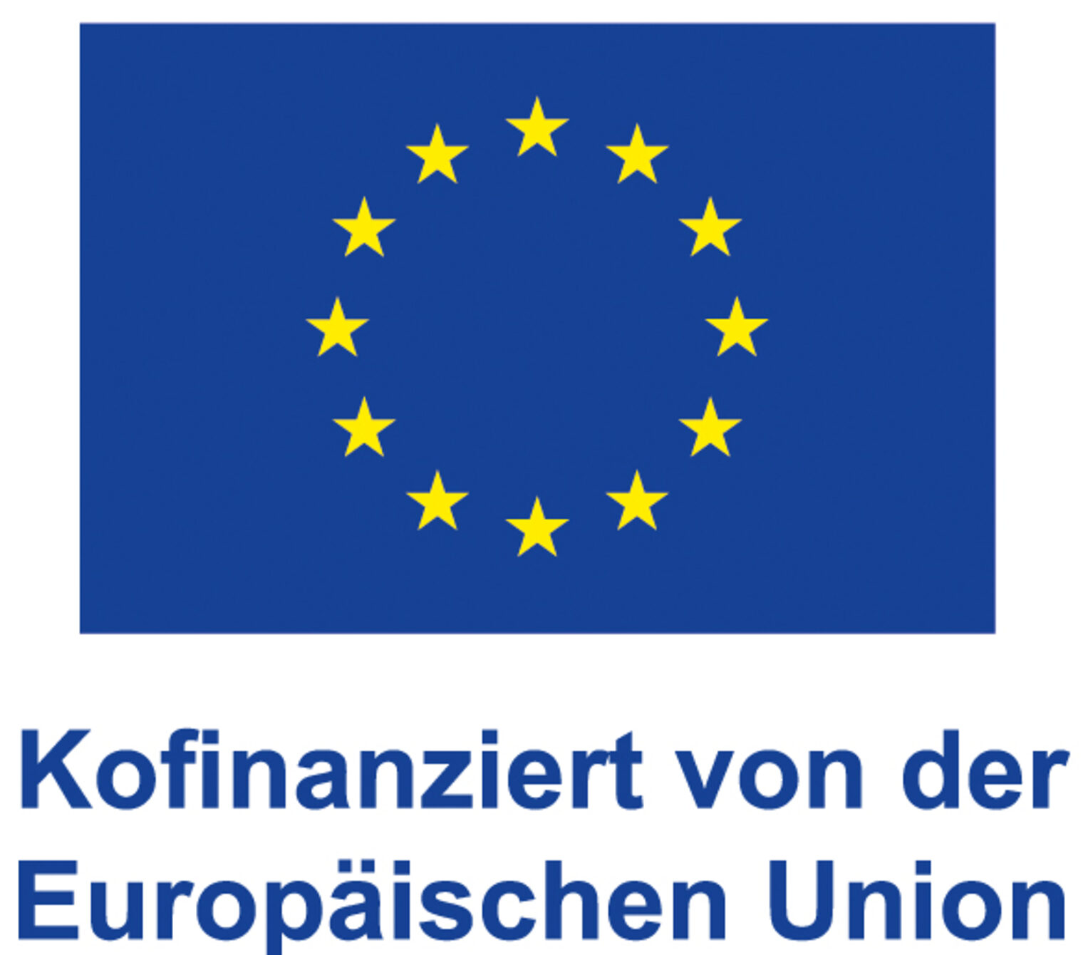 Kofinanziert Europäische Union