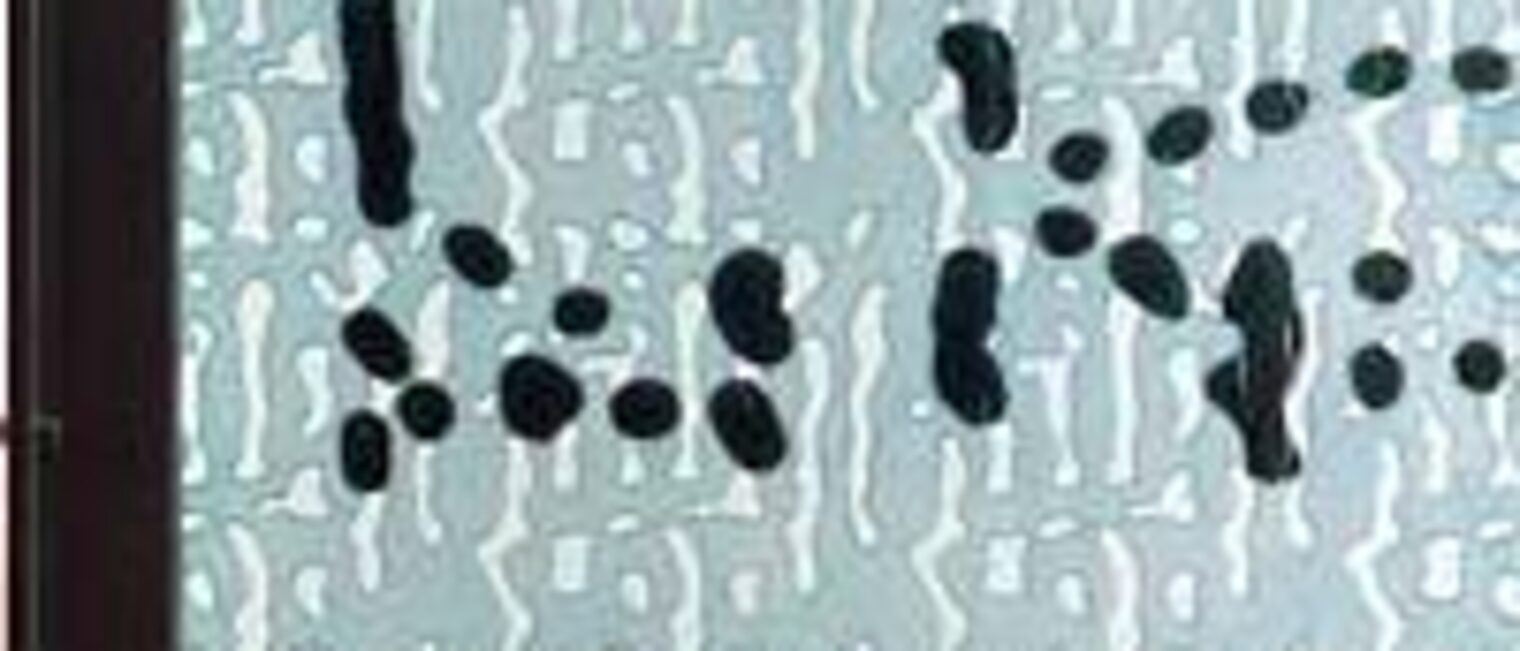 Michael Härteis, Gestaltung einer Lärmschutzwand aus Glas, Modell 1:1, Ausschnitt Michael Härteis, Gestaltung einer Lärmschutzwand aus Glas, Modell 1:1, Ausschnitt