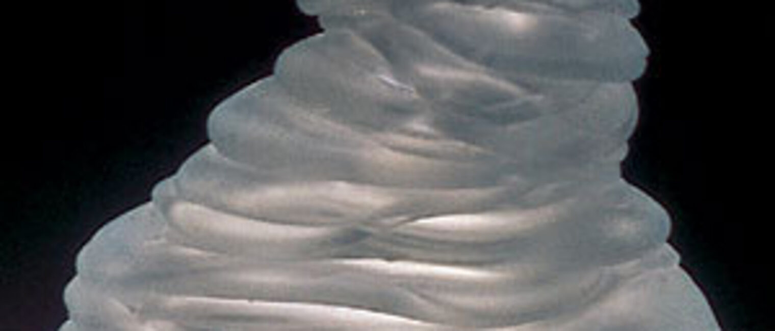 Talente Preis 2005: Stine Bidstrup