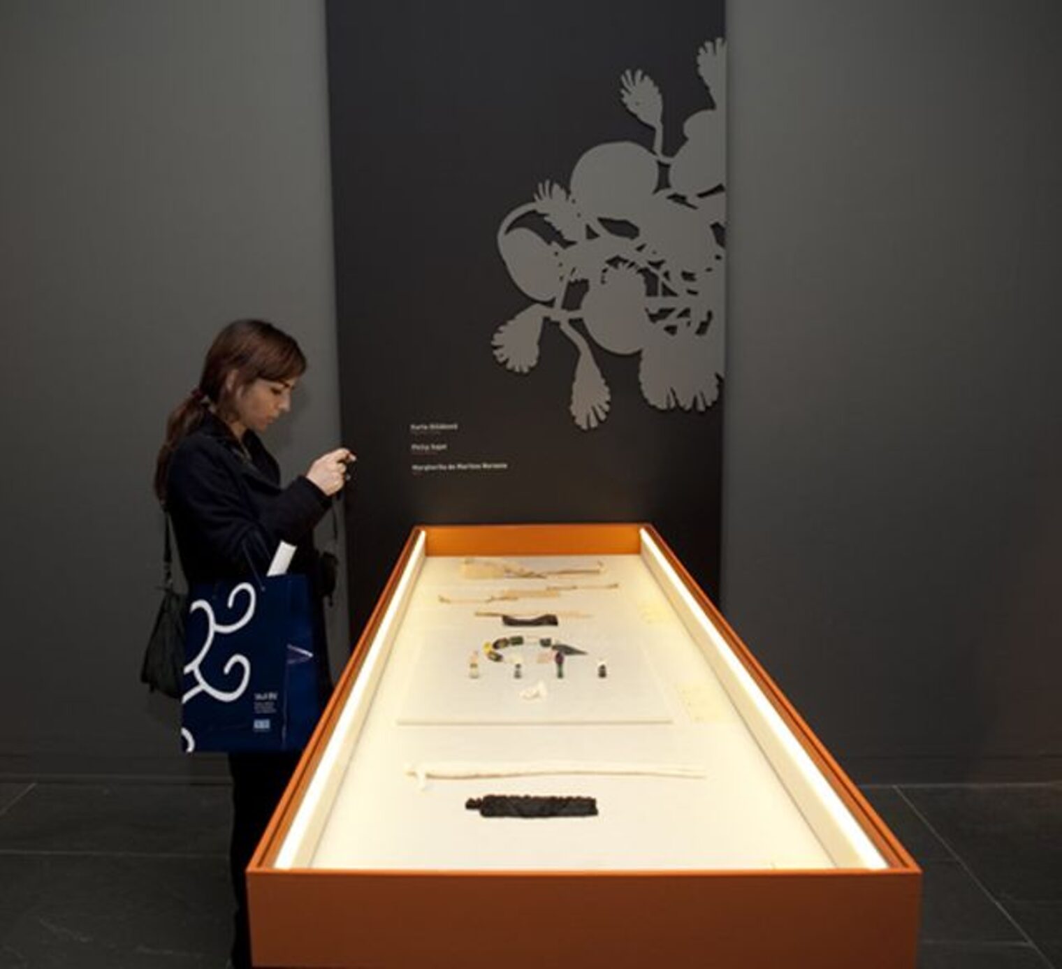 Schmuck 2012, Valencia 14